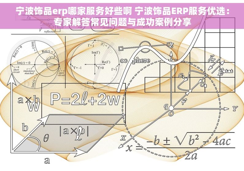 宁波饰品erp哪家服务好些啊 宁波饰品ERP服务优选：专家解答常见问题与成功案例分享
