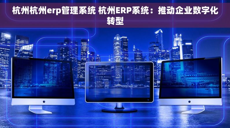杭州杭州erp管理系统 杭州ERP系统：推动企业数字化转型