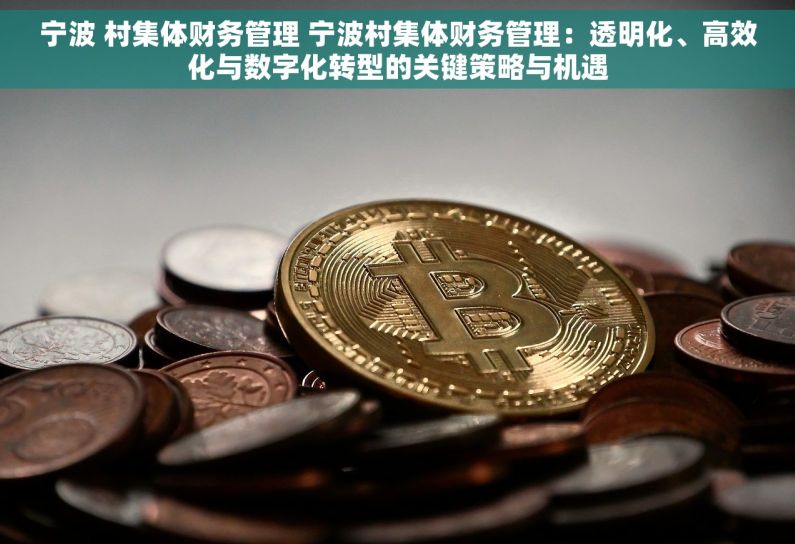 宁波 村集体财务管理 宁波村集体财务管理：透明化、高效化与数字化转型的关键策略与机遇
