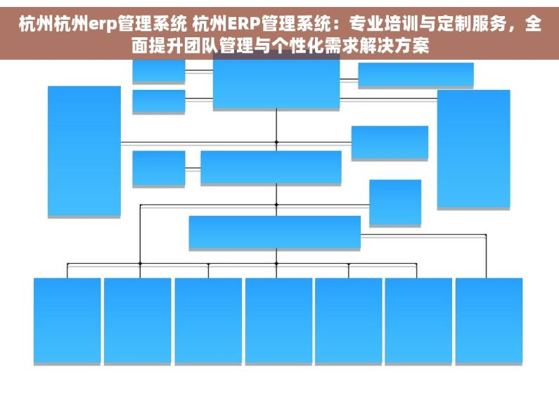 杭州杭州erp管理系统 杭州ERP管理系统：专业培训与定制服务，全面提升团队管理与个性化需求解决方案
