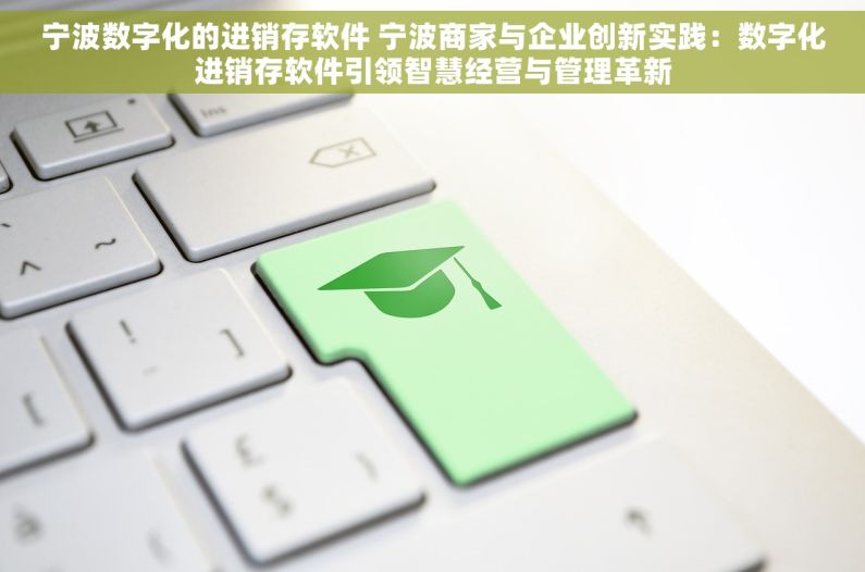 宁波数字化的进销存软件 宁波商家与企业创新实践：数字化进销存软件引领智慧经营与管理革新