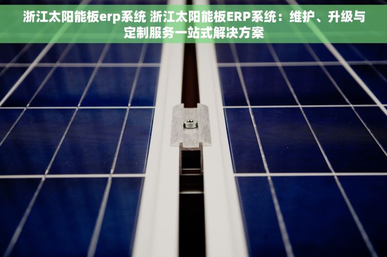 浙江太阳能板erp系统 浙江太阳能板ERP系统：维护、升级与定制服务一站式解决方案