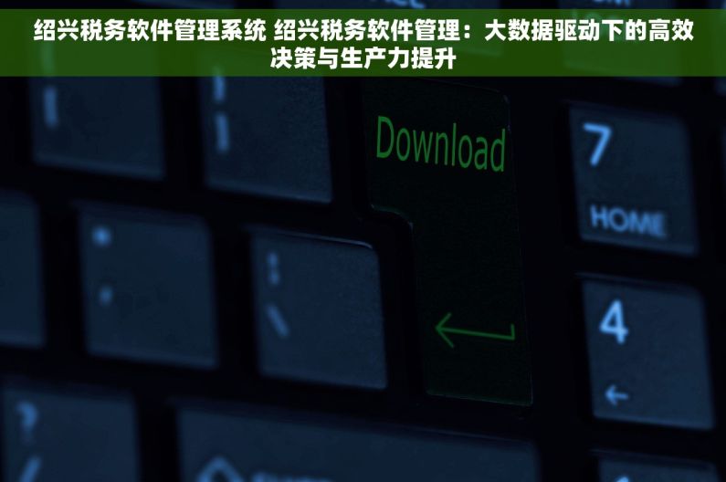 绍兴税务软件管理系统 绍兴税务软件管理：大数据驱动下的高效决策与生产力提升