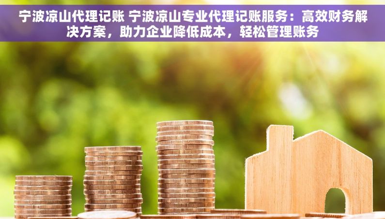 宁波凉山代理记账 宁波凉山专业代理记账服务：高效财务解决方案，助力企业降低成本，轻松管理账务