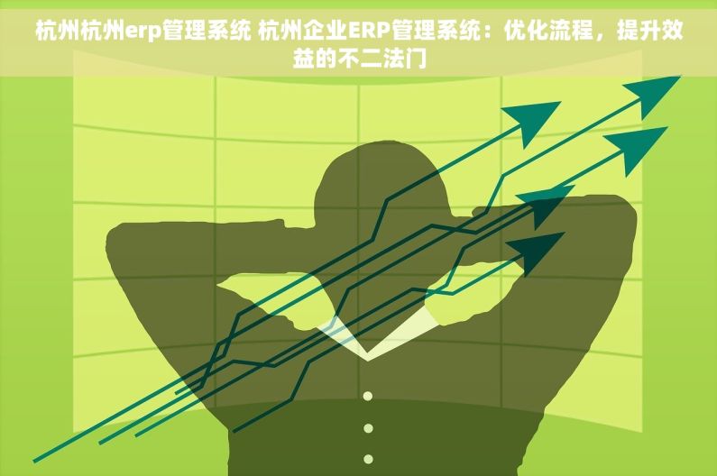 杭州杭州erp管理系统 杭州企业ERP管理系统：优化流程，提升效益的不二法门