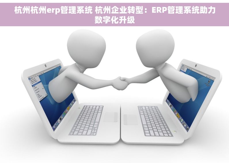 杭州杭州erp管理系统 杭州企业转型：ERP管理系统助力数字化升级