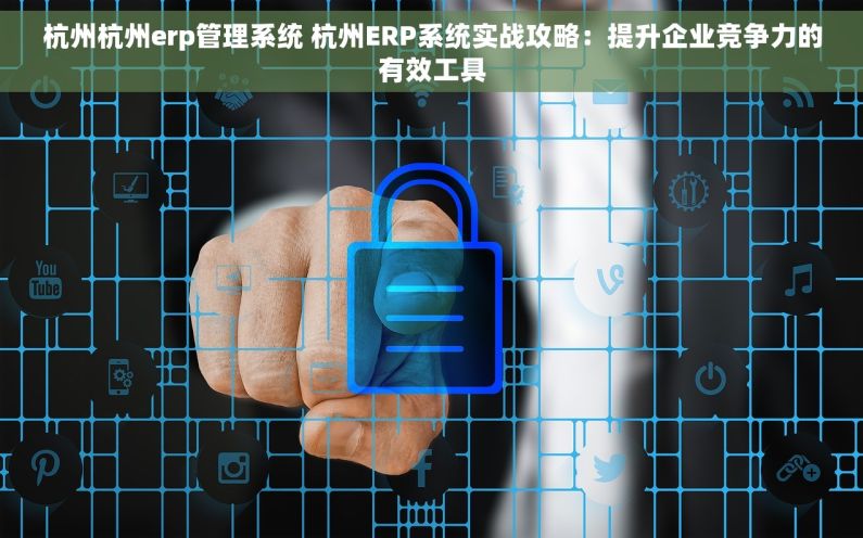 杭州杭州erp管理系统 杭州ERP系统实战攻略：提升企业竞争力的有效工具