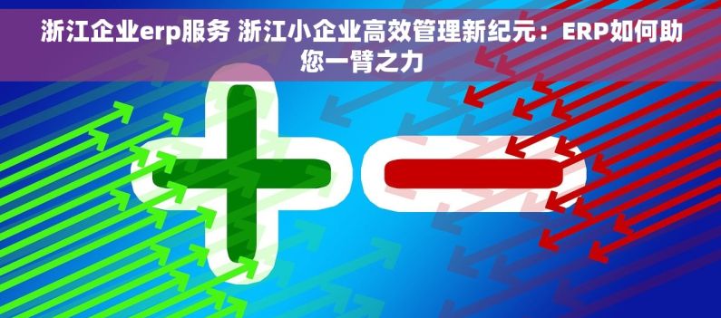 浙江企业erp服务 浙江小企业高效管理新纪元：ERP如何助您一臂之力