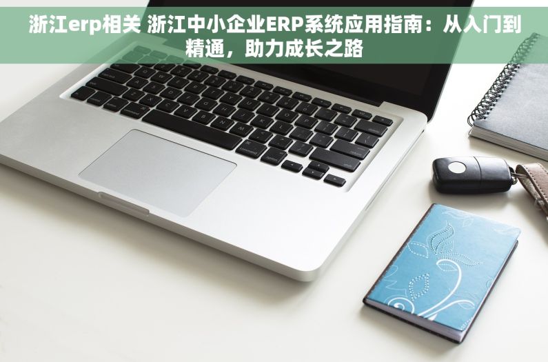 浙江erp相关 浙江中小企业ERP系统应用指南：从入门到精通，助力成长之路