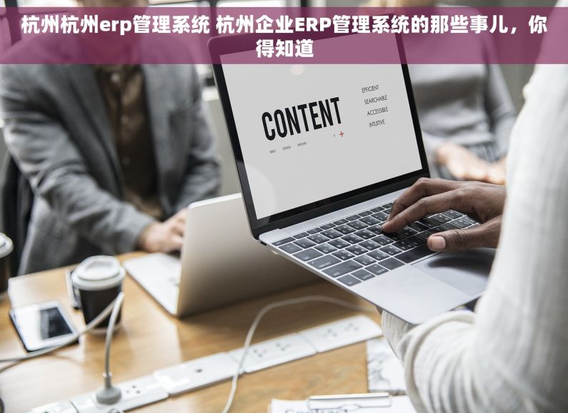 杭州杭州erp管理系统 杭州企业ERP管理系统的那些事儿，你得知道