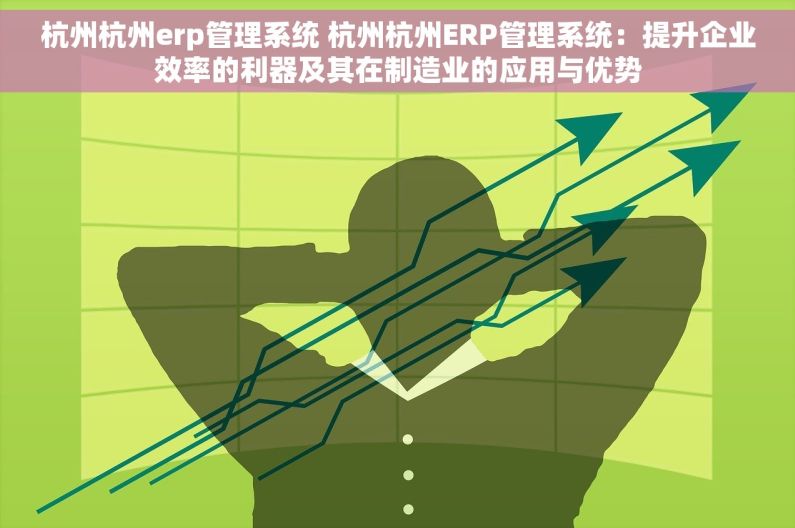 杭州杭州erp管理系统 杭州杭州ERP管理系统：提升企业效率的利器及其在制造业的应用与优势