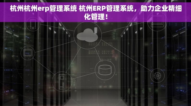 杭州杭州erp管理系统 杭州ERP管理系统，助力企业精细化管理！