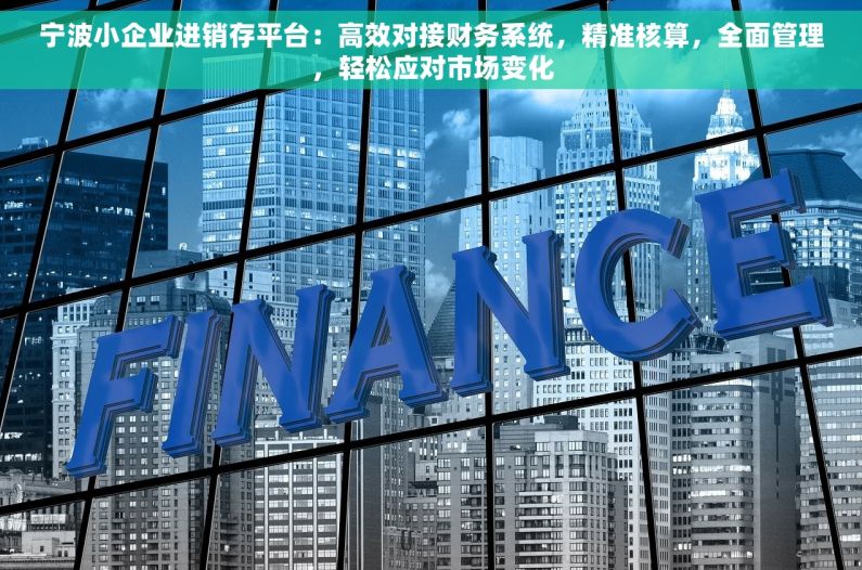 宁波小企业进销存平台：高效对接财务系统，精准核算，全面管理，轻松应对市场变化