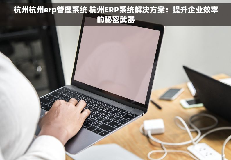 杭州杭州erp管理系统 杭州ERP系统解决方案：提升企业效率的秘密武器