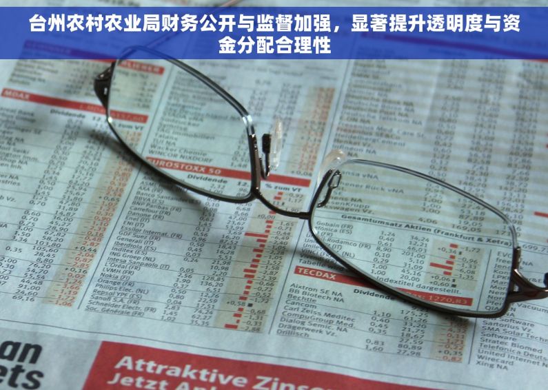 台州农村农业局财务公开与监督加强，显著提升透明度与资金分配合理性