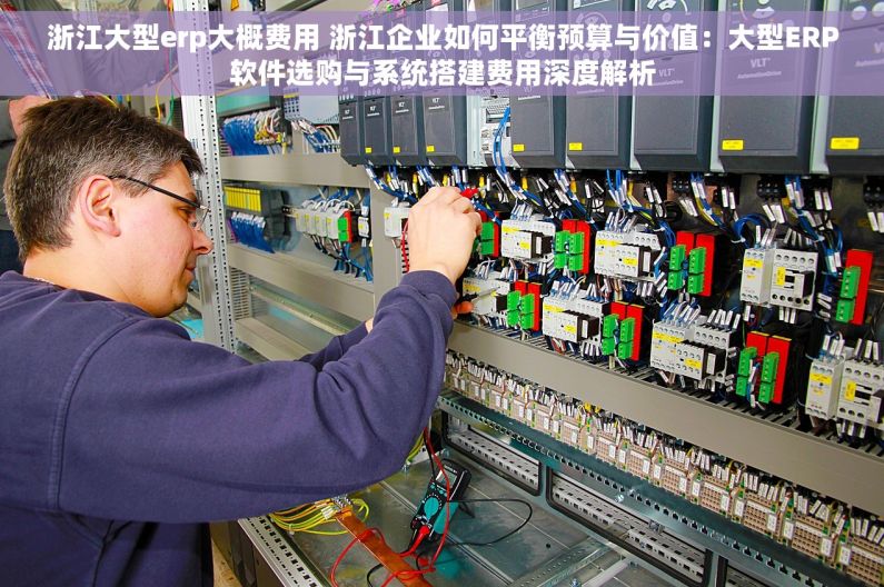 浙江大型erp大概费用 浙江企业如何平衡预算与价值：大型ERP软件选购与系统搭建费用深度解析