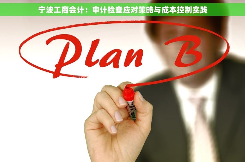 宁波工商会计：审计检查应对策略与成本控制实践