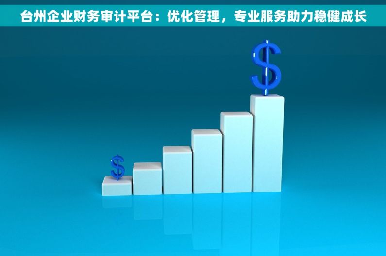 台州企业财务审计平台：优化管理，专业服务助力稳健成长