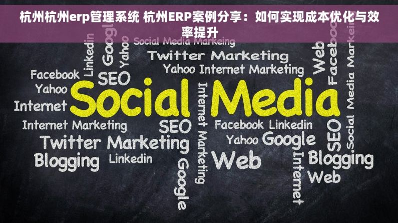 杭州杭州erp管理系统 杭州ERP案例分享：如何实现成本优化与效率提升