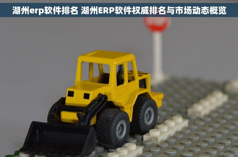 湖州erp软件排名 湖州ERP软件权威排名与市场动态概览