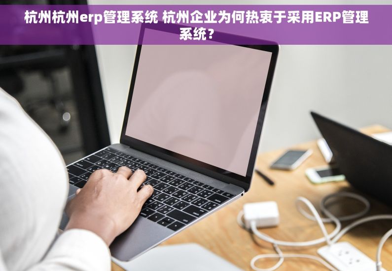 杭州杭州erp管理系统 杭州企业为何热衷于采用ERP管理系统？