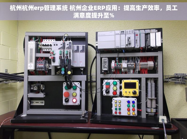 杭州杭州erp管理系统 杭州企业ERP应用：提高生产效率，员工满意度提升至%