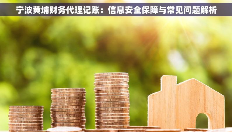 宁波黄埔财务代理记账：信息安全保障与常见问题解析