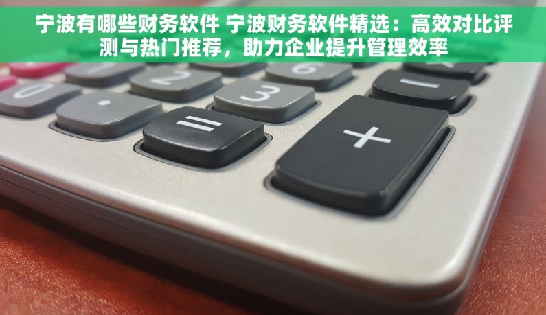 宁波有哪些财务软件 宁波财务软件精选：高效对比评测与热门推荐，助力企业提升管理效率