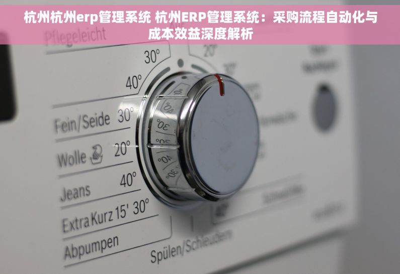 杭州杭州erp管理系统 杭州ERP管理系统：采购流程自动化与成本效益深度解析