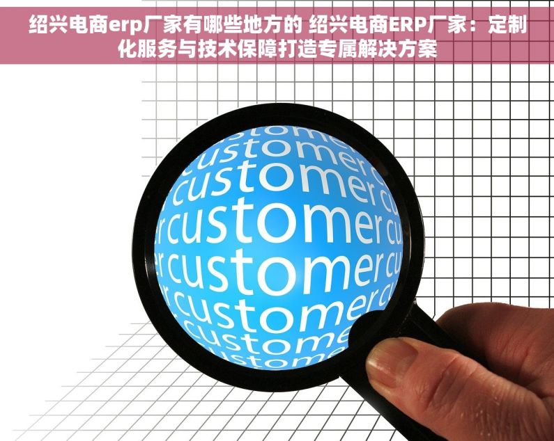 绍兴电商erp厂家有哪些地方的 绍兴电商ERP厂家：定制化服务与技术保障打造专属解决方案