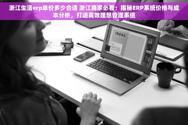 浙江生活erp单价多少合适 浙江商家必看：揭秘ERP系统价格与成本分析，打造高效理想管理系统