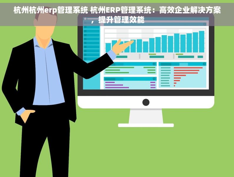杭州杭州erp管理系统 杭州ERP管理系统：高效企业解决方案，提升管理效能