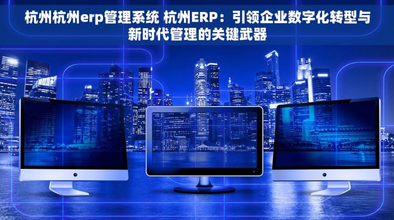 杭州杭州erp管理系统 杭州ERP：引领企业数字化转型与新时代管理的关键武器