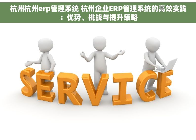 杭州杭州erp管理系统 杭州企业ERP管理系统的高效实践：优势、挑战与提升策略