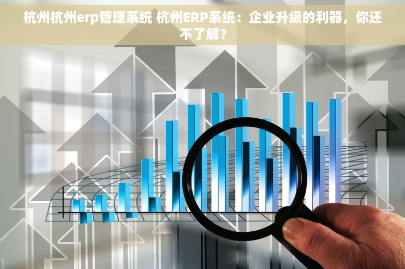 杭州杭州erp管理系统 杭州ERP系统：企业升级的利器，你还不了解？