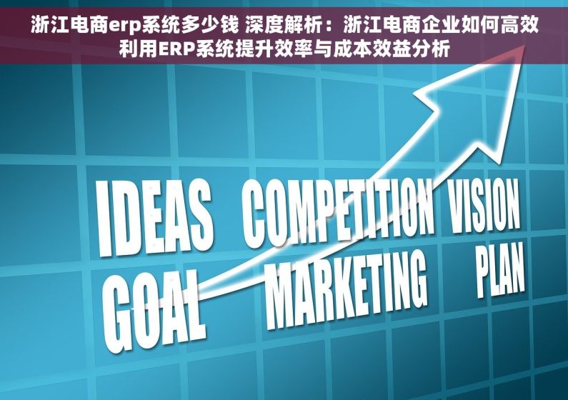 浙江电商erp系统多少钱 深度解析：浙江电商企业如何高效利用ERP系统提升效率与成本效益分析