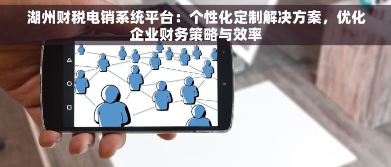 湖州财税电销系统平台：个性化定制解决方案，优化企业财务策略与效率