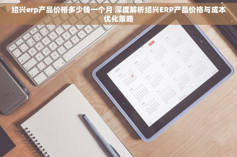 绍兴erp产品价格多少钱一个月 深度解析绍兴ERP产品价格与成本优化策略
