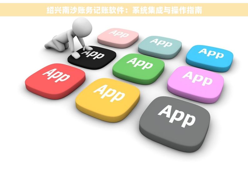 绍兴南沙账务记账软件：系统集成与操作指南