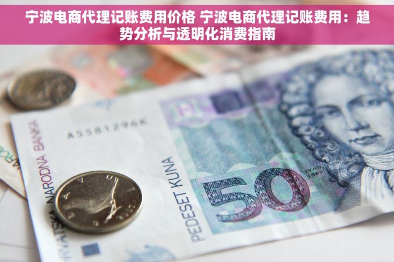 宁波电商代理记账费用价格 宁波电商代理记账费用：趋势分析与透明化消费指南