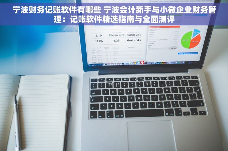 宁波财务记账软件有哪些 宁波会计新手与小微企业财务管理：记账软件精选指南与全面测评