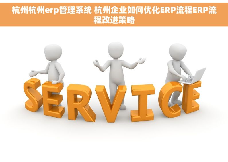 杭州杭州erp管理系统 杭州企业如何优化ERP流程ERP流程改进策略