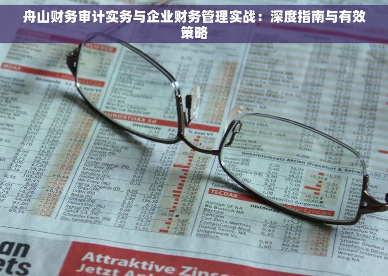 舟山财务审计实务与企业财务管理实战：深度指南与有效策略