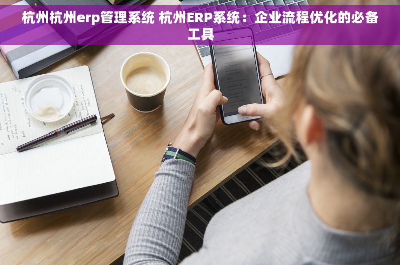 杭州杭州erp管理系统 杭州ERP系统：企业流程优化的必备工具