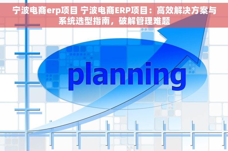 宁波电商erp项目 宁波电商ERP项目：高效解决方案与系统选型指南，破解管理难题