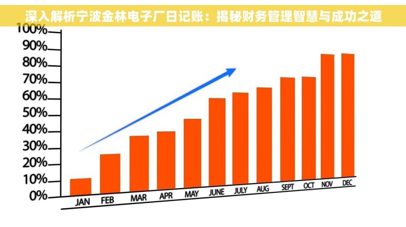 深入解析宁波金林电子厂日记账：揭秘财务管理智慧与成功之道