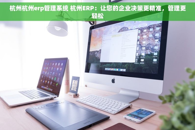 杭州杭州erp管理系统 杭州ERP：让您的企业决策更精准，管理更轻松