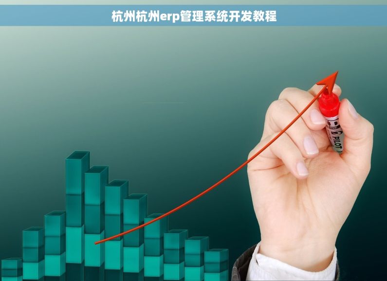 杭州杭州erp管理系统开发教程
