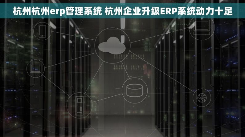 杭州杭州erp管理系统 杭州企业升级ERP系统动力十足