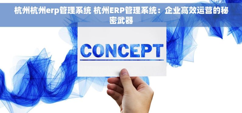 杭州杭州erp管理系统 杭州ERP管理系统：企业高效运营的秘密武器